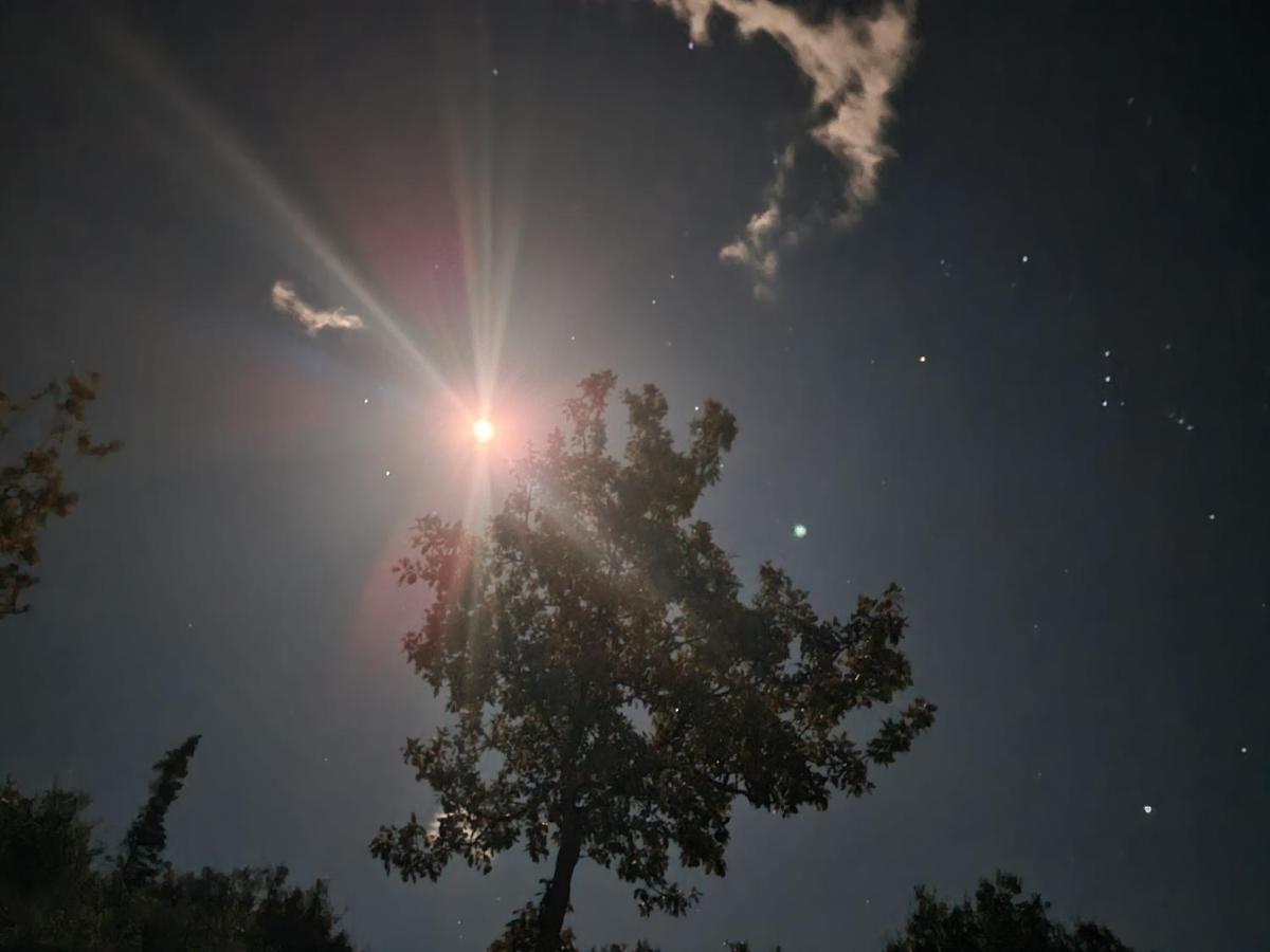 Apartmán Ionian Pearl Dhërmi Exteriér fotografie
